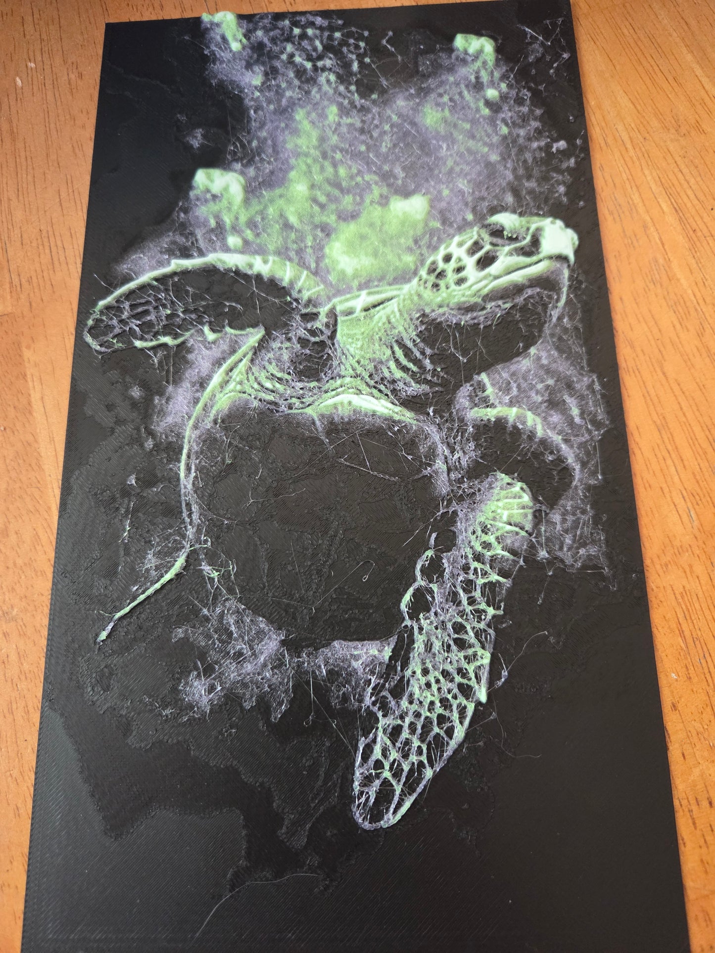 3d turtle picture