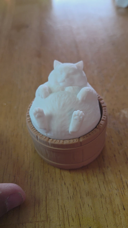 Tubby bathtub Kitty