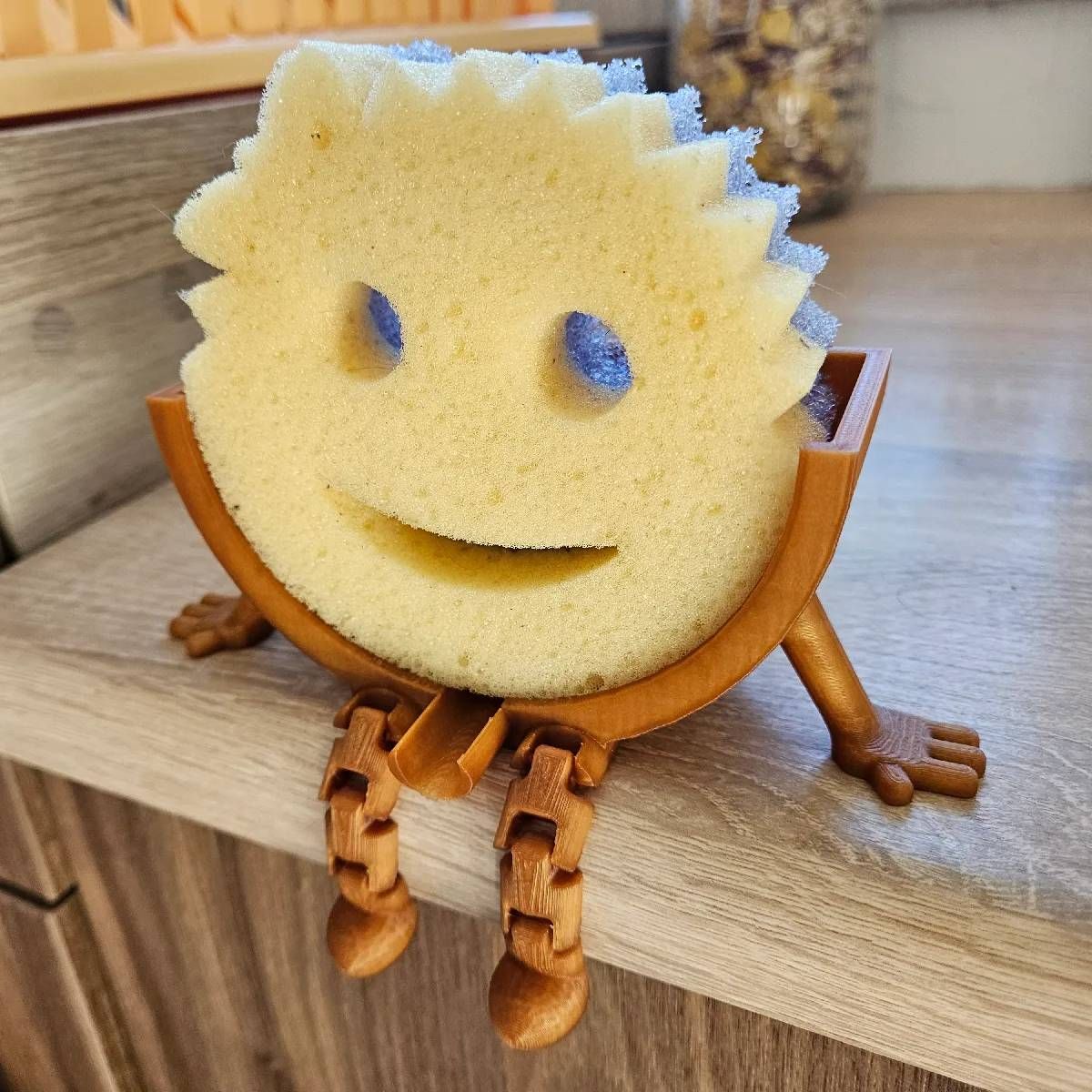Sponge holder with sponge