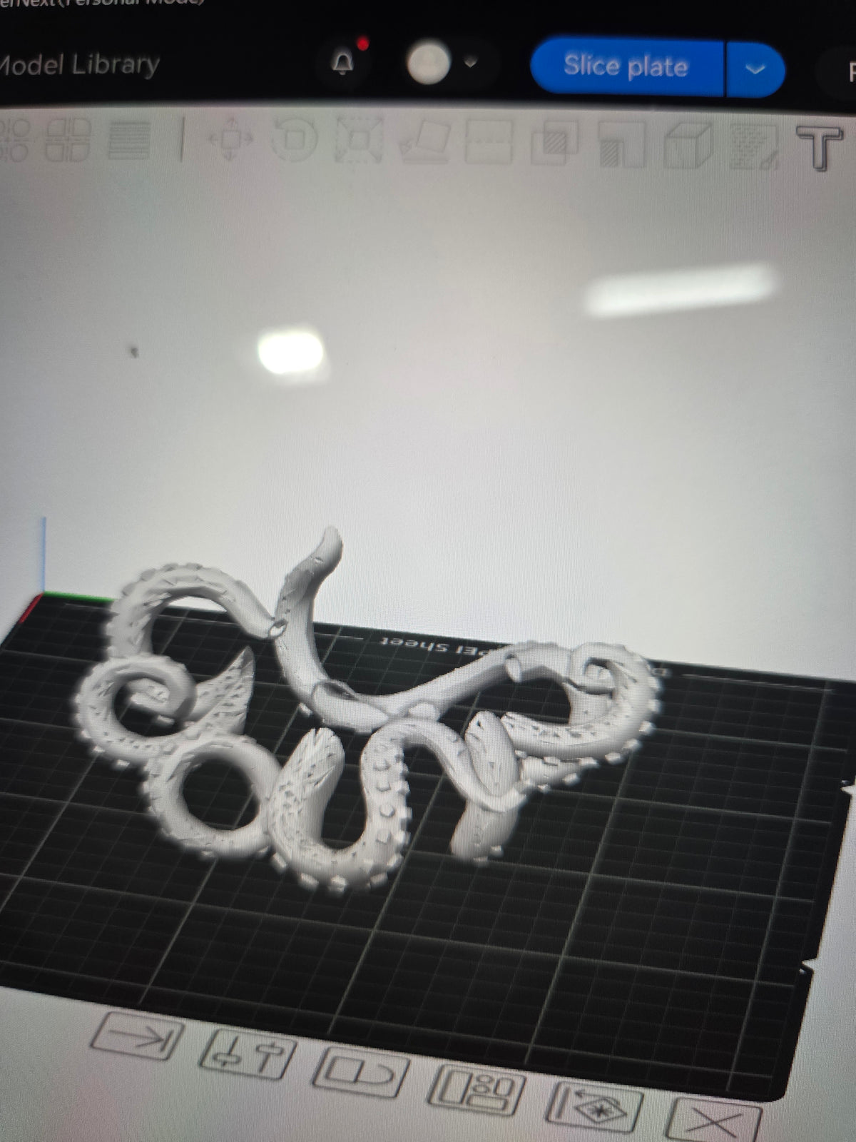 Octopus arms