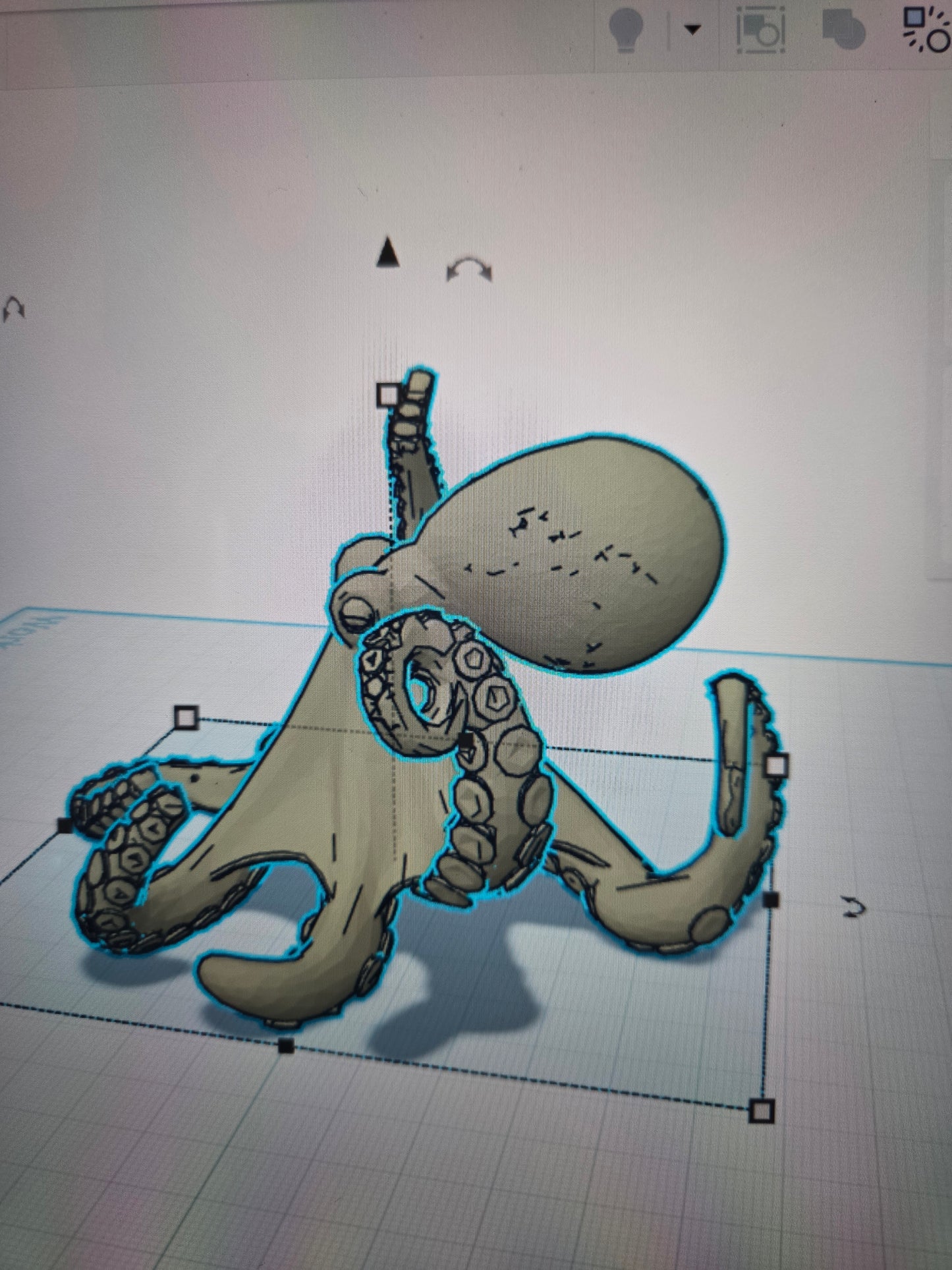 Octopus