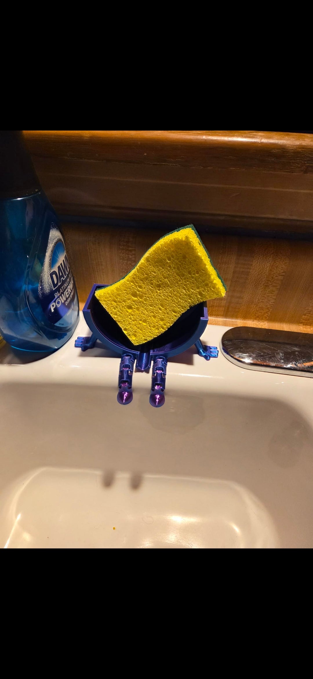 Sponge holder with sponge