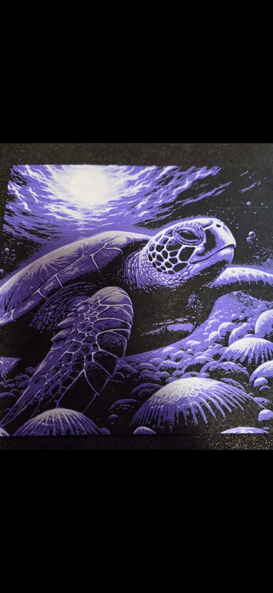 Purple sea turtle