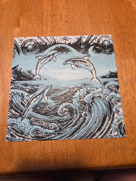 Dolphins moon