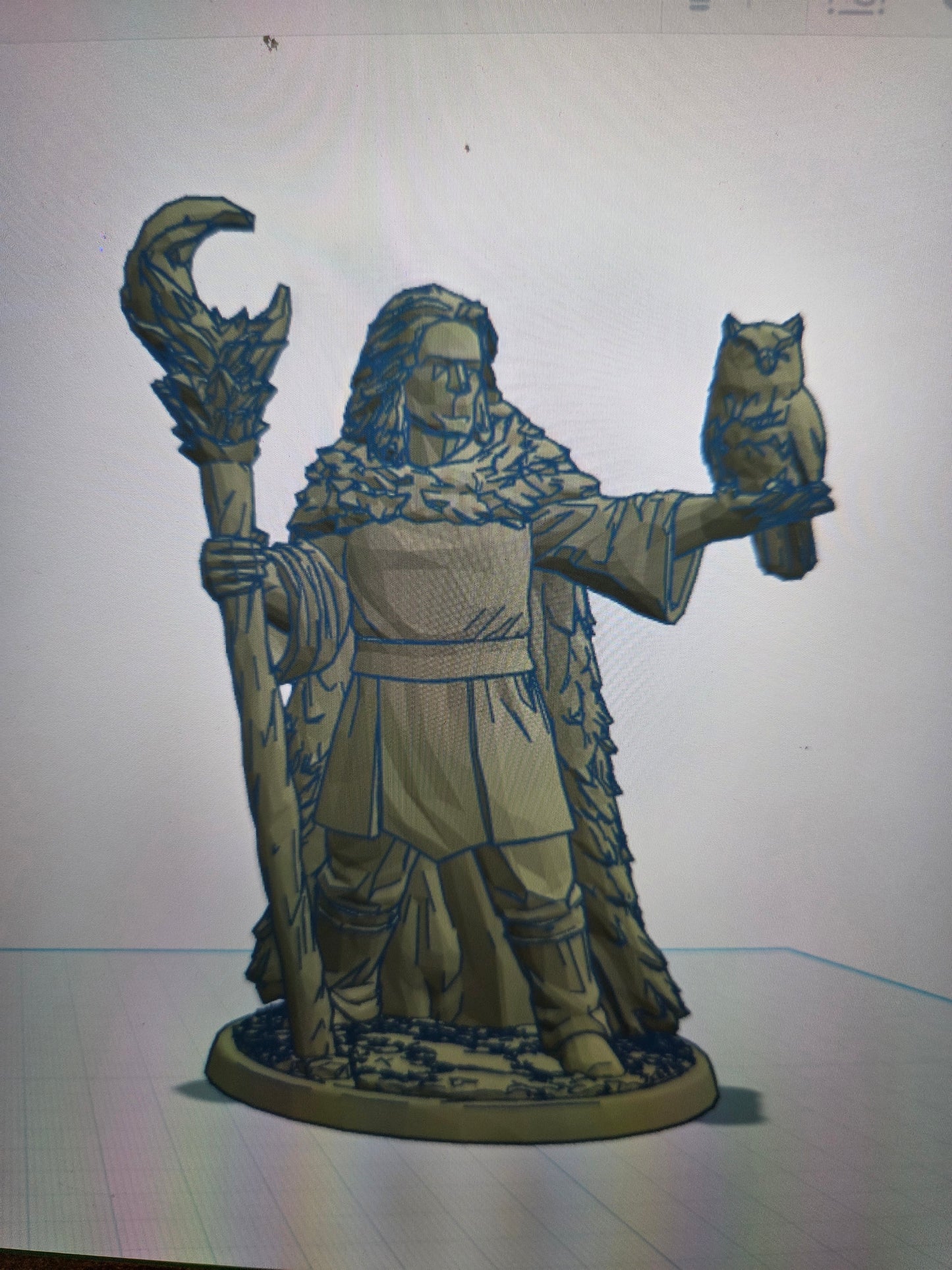 Druid