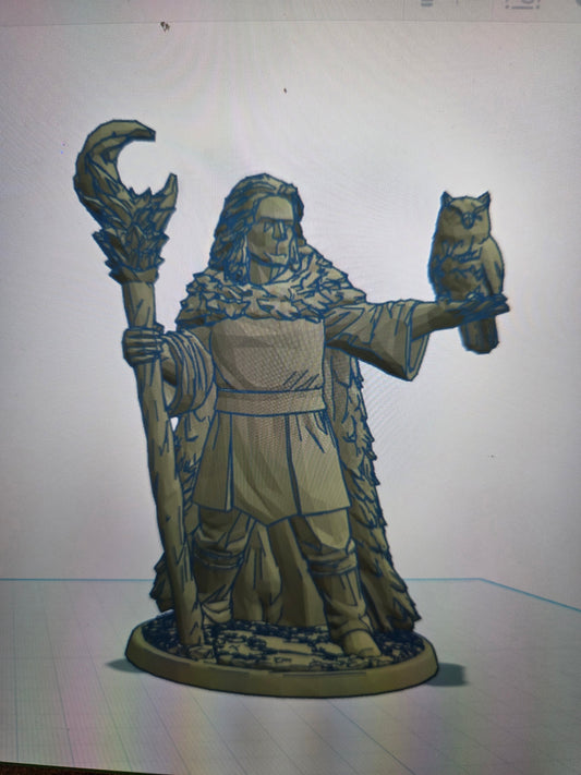 Druid