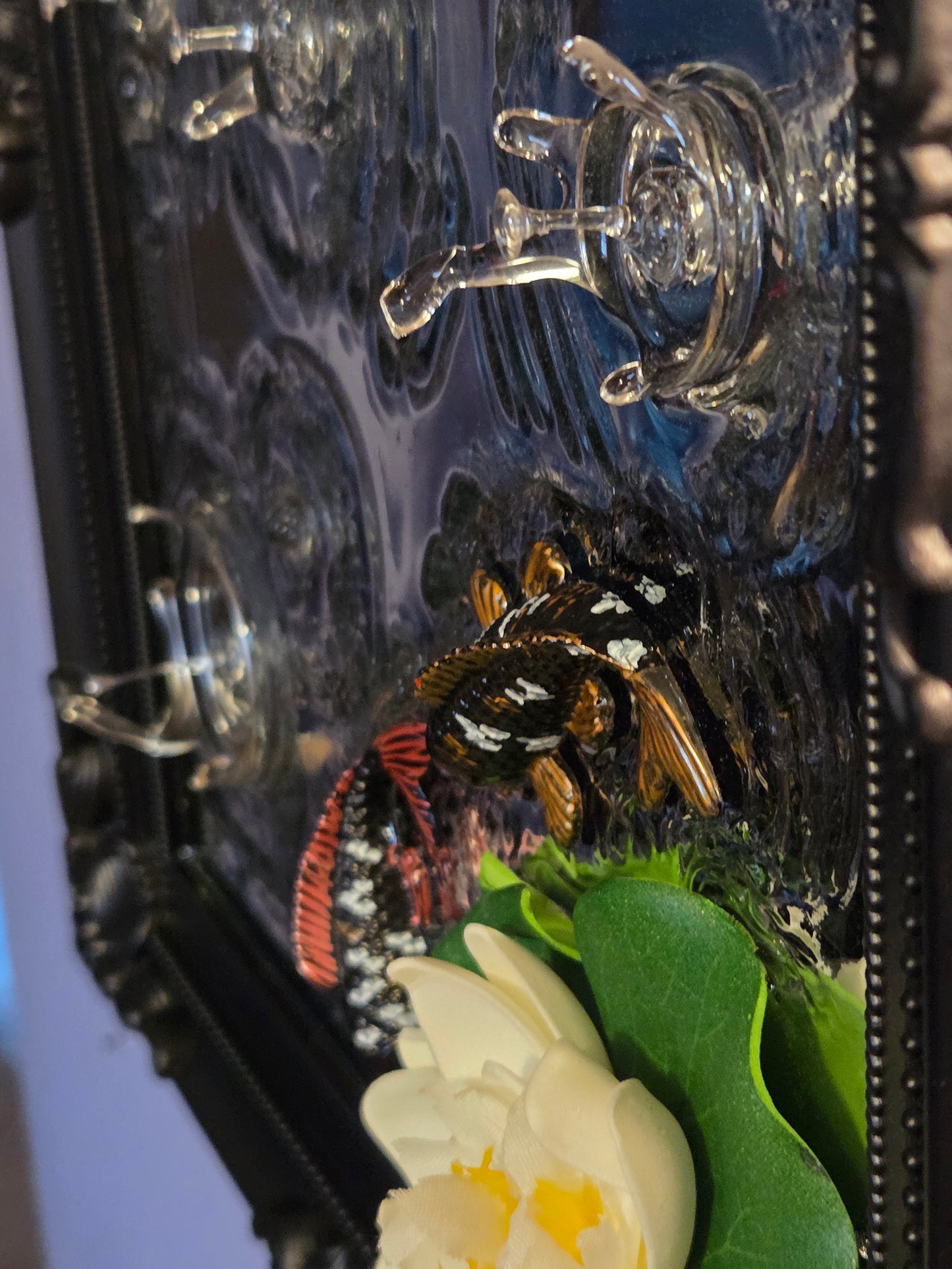 Lillypad rain koi pond