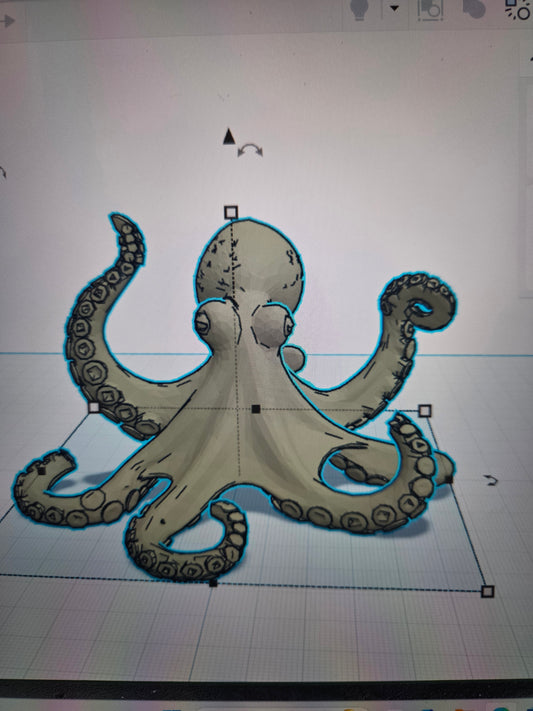 Octopus