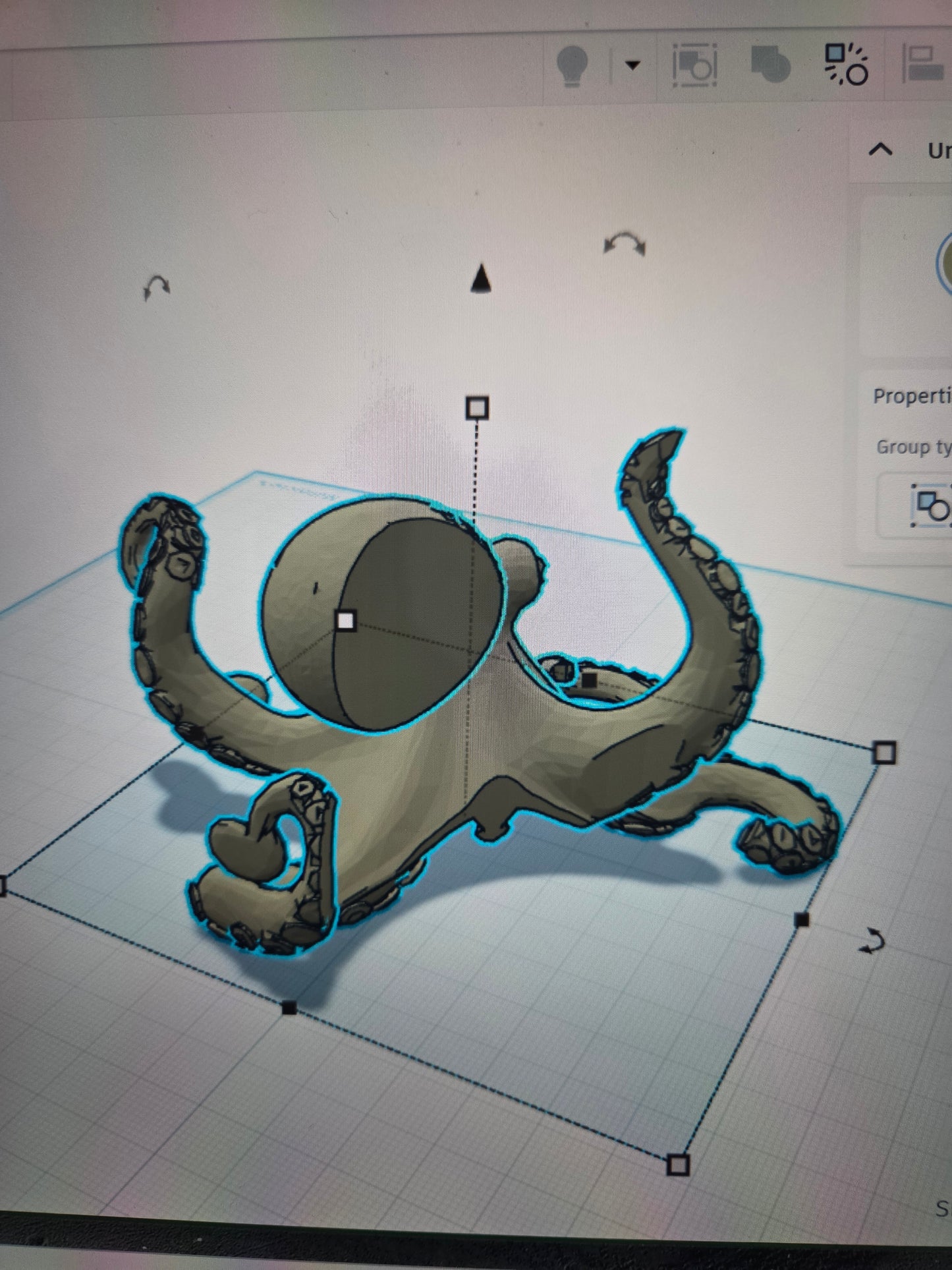 Octopus