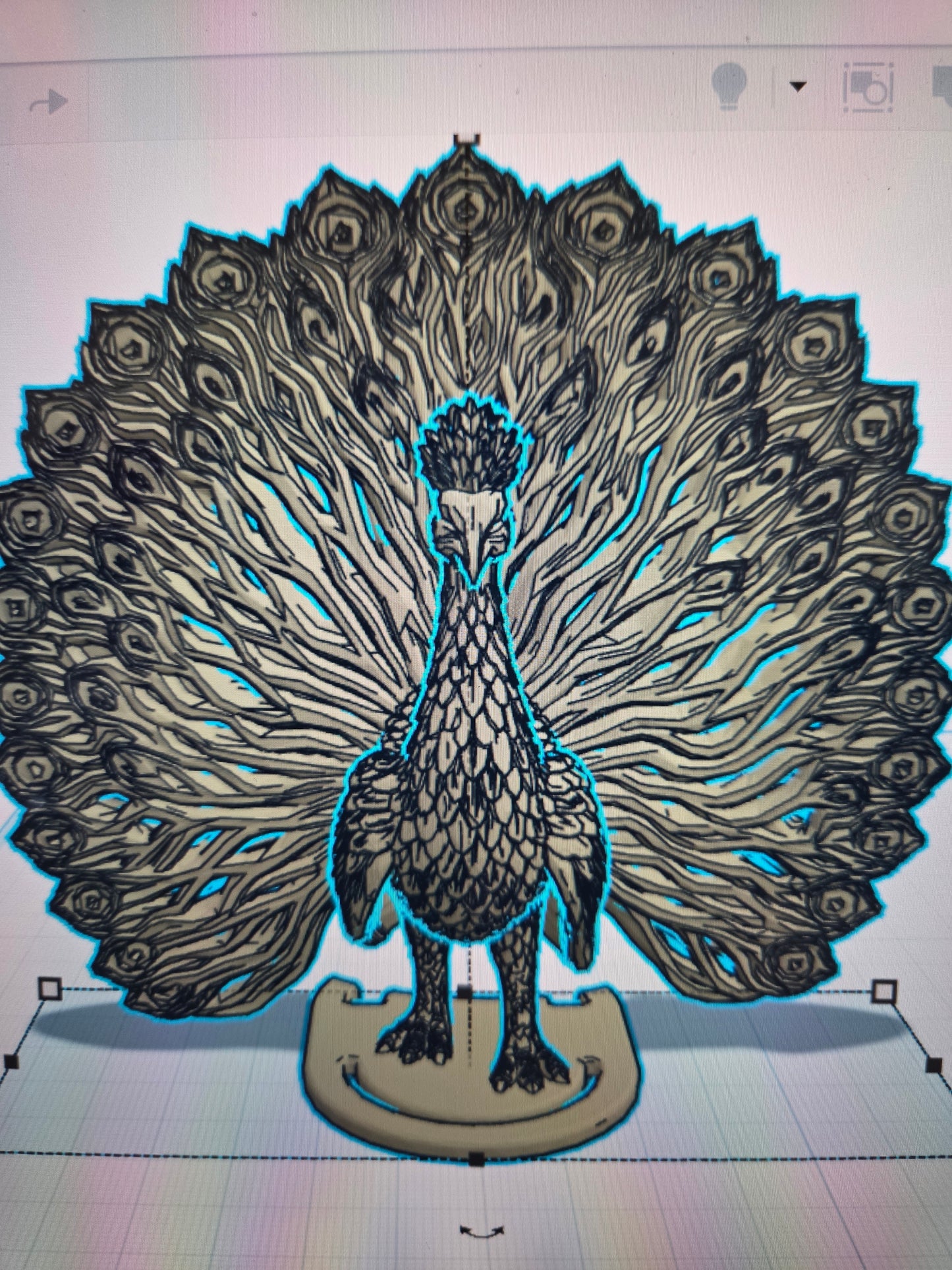 Peacock